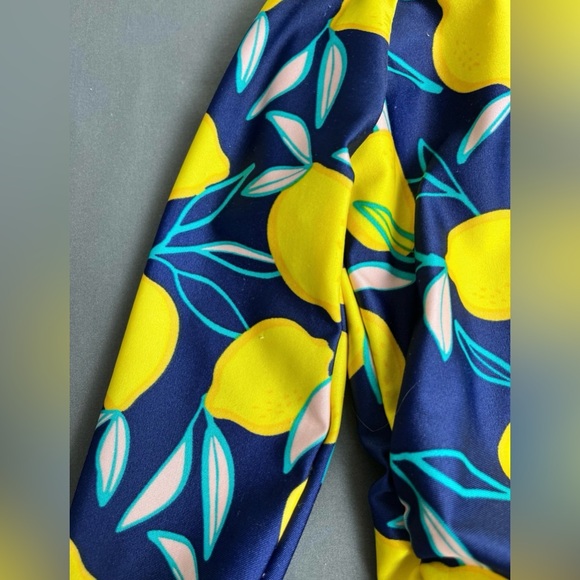 Swimsuits Toddler girl bundle Sz 2T - Picture 5 of 16